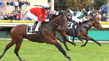 My Lea, finish imparabile