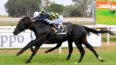 Branca, scelta ancora giusta