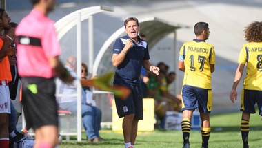 Serie C Vicenza, panchina a Zanini dopo l'esonero di Colombo