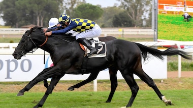 Dieci nel Roma, tre dall'estero