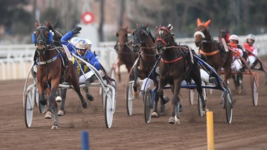 Minnucci in gol con Zlatan