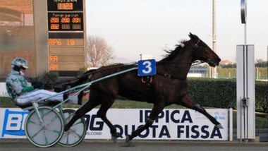 #30/12/2018 Ippicanews