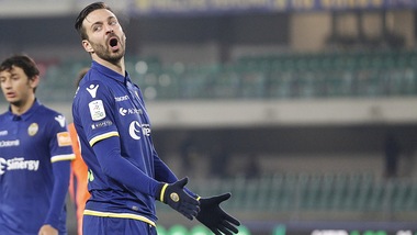 Serie B Verona, lesione al bicipite femorale per Di Carmine