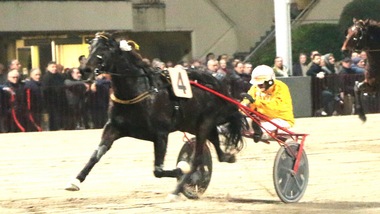 #27/12/2019 Ippicanews