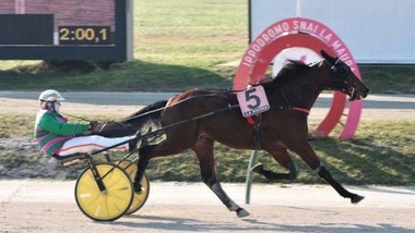 #9/1/2021 Ippicanews