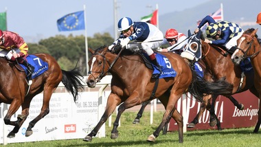 #15/1/2021 Ippicanews