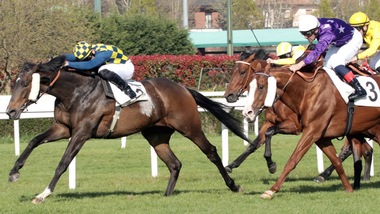 #20/1/2021 Ippicanews