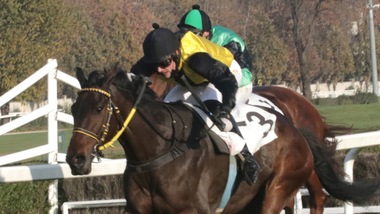 #24/1/2021 Ippicanews