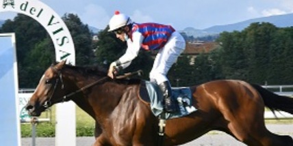 Blu Navy Seal in Francia