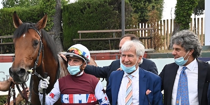 Grizzetti messo all'angolo