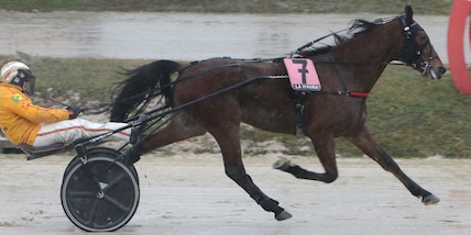 Gocciadoro torna in pista