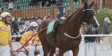 Il primo Vernissage del 2021