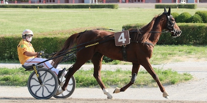 Vernissage, rientro complicato