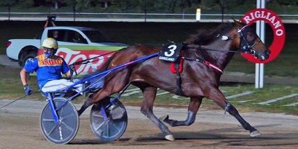 Tre italiani al Vitesse