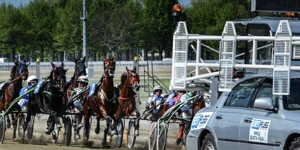 Niente calendario? Niente iscrizioni