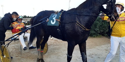 Arazi Boko ci prova subito