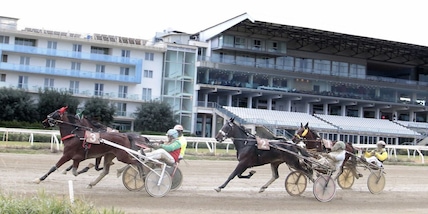 Sicilia, cavalli di nuovo liberi