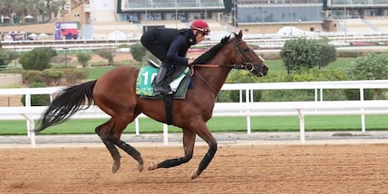 Fresu in prima fila a Meydan