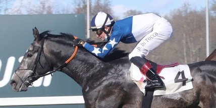 Effevi e New Age, non solo Di Tocco