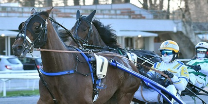 Minnucci: Bonjovi resta a casa