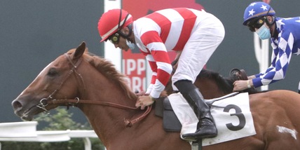 Vargiu, lo stop si accorcia