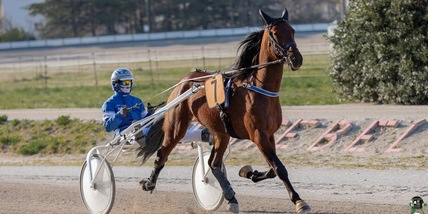 Atik Dl a 17/1 nell'Orlandi