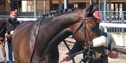 La "Telepatica” resta a guardare