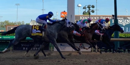 Il KD prende la via di Medina