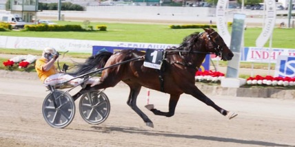 Bengurion, una vera Birba