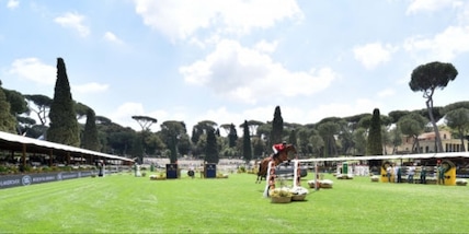 Una Coppa per dodici nazioni