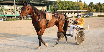 Alrajah, One per il "Freccia”