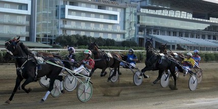 Ippodromi riaperti al pubblico