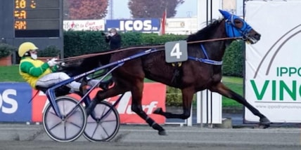 Anche Caramel Club in giallo