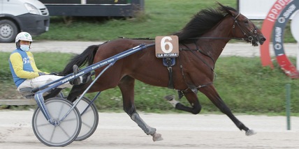 Chloe, una trasferta Charmant