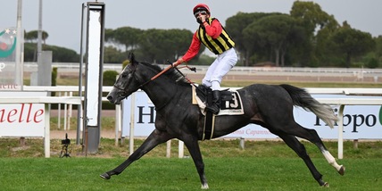 Tokyo Gold cerca altri Derby