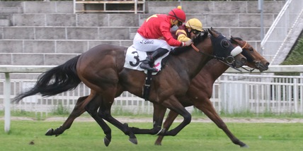 Collinsbay, allez France