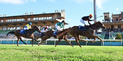 Corse garantite fino al 20