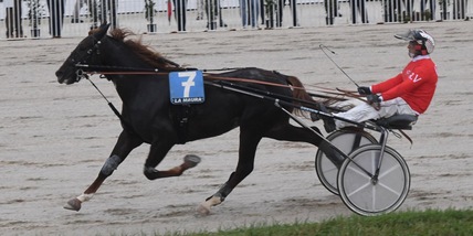 GP confermati a Trieste