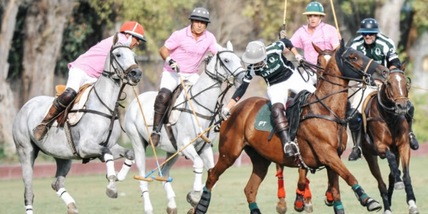 Polo per tre anni in Sardegna