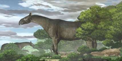 Incredibile scoperta in Cina: trovato un rinoceronte gigante