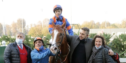 Roveda, i pezzi migliori all'asta