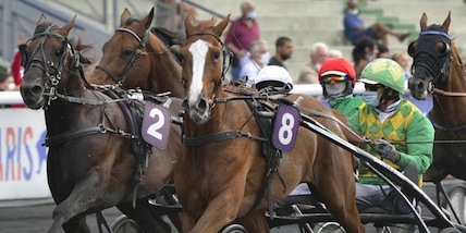 Anche Violetto Jet nel Balliere