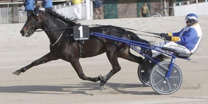 Anche Zacon resta a casa