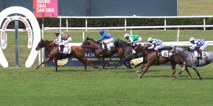 Hayyan, un vincitore di qualità