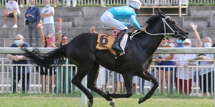 Windstormblack per conto suo