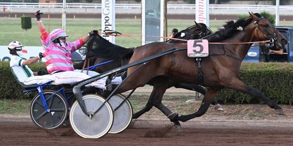 Amon You Sm alla Di Basco