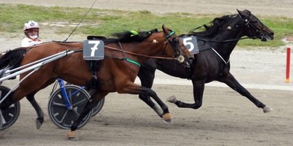 Face Time al 7, Zacon al 3