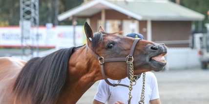 FTB in lista d'attesa