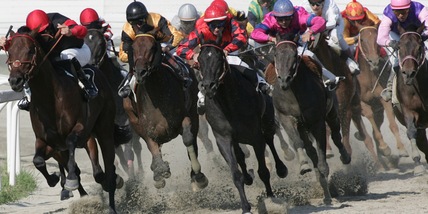 Varese tra sabbia, sassi e trotto