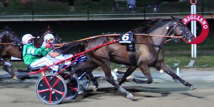 Blackflash Bar, un vero flash